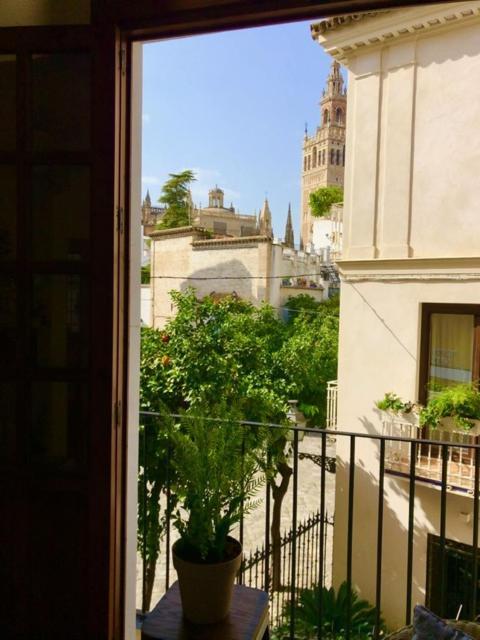 Gotoseville Santa Cruz Catedral Apartament Sevilla